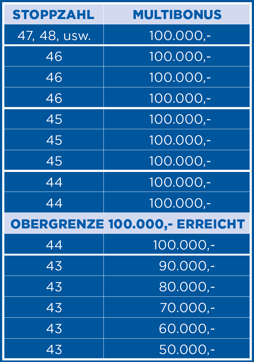 Bingo Multi Bonus